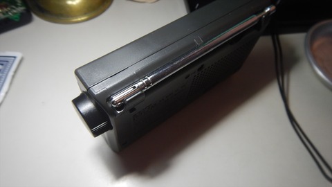 DSCN8970_R