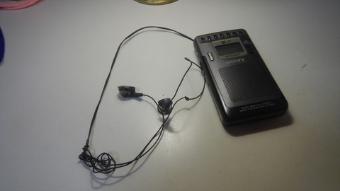 DSCN9008_R