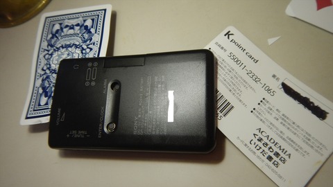 DSCN8951_R