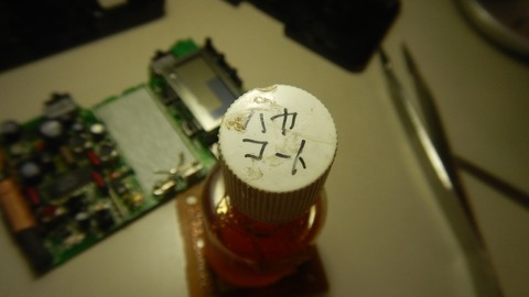 DSCN8963_R
