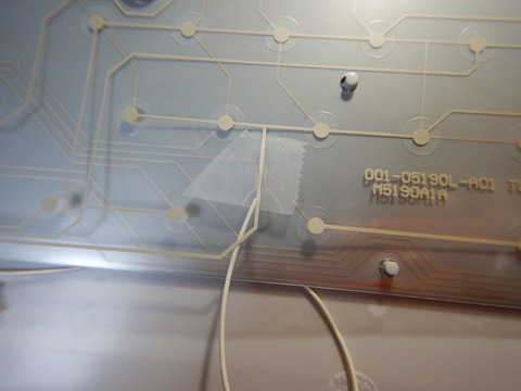 DSCN4535