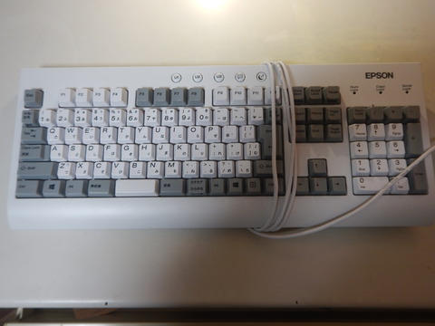 DSCN4524