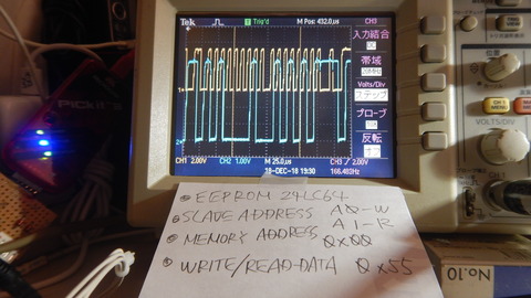 DSCN9981