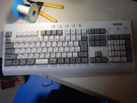 DSCN4538