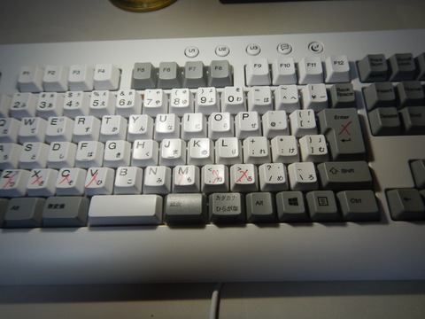 DSCN4525