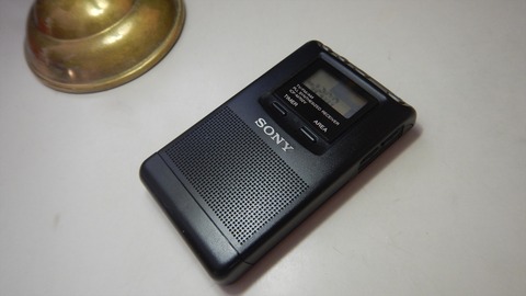 DSCN9338_R