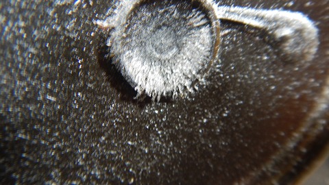 DSCN1255_R