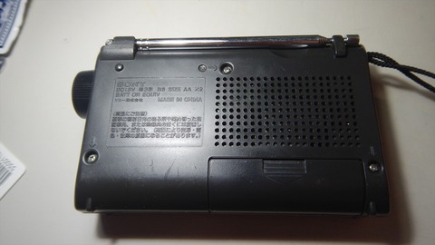DSCN8969_R