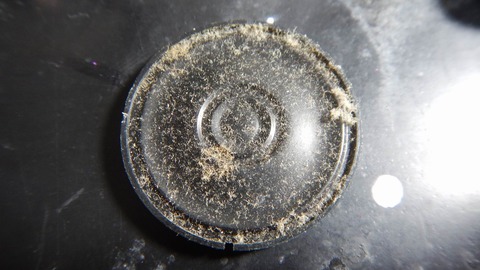 sDSCN9116